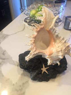 Shell statue