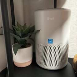 air purifier 
