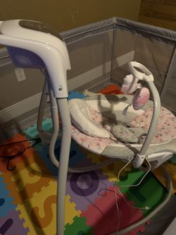 baby Swinger