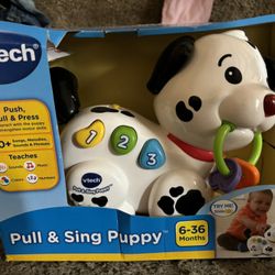 Pull And Signing Puppy