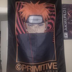 Naruto Shippuden (Pain) Poster 
