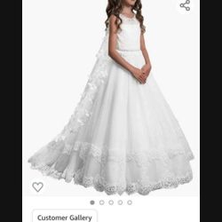 Princess Lace Butterfly flower girl dress 