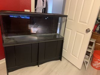 55 Gallon Tank And Stand