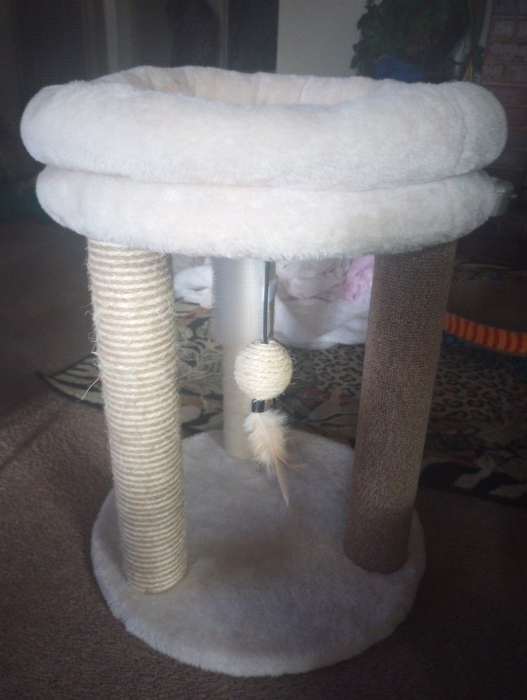 New Kitten Tower