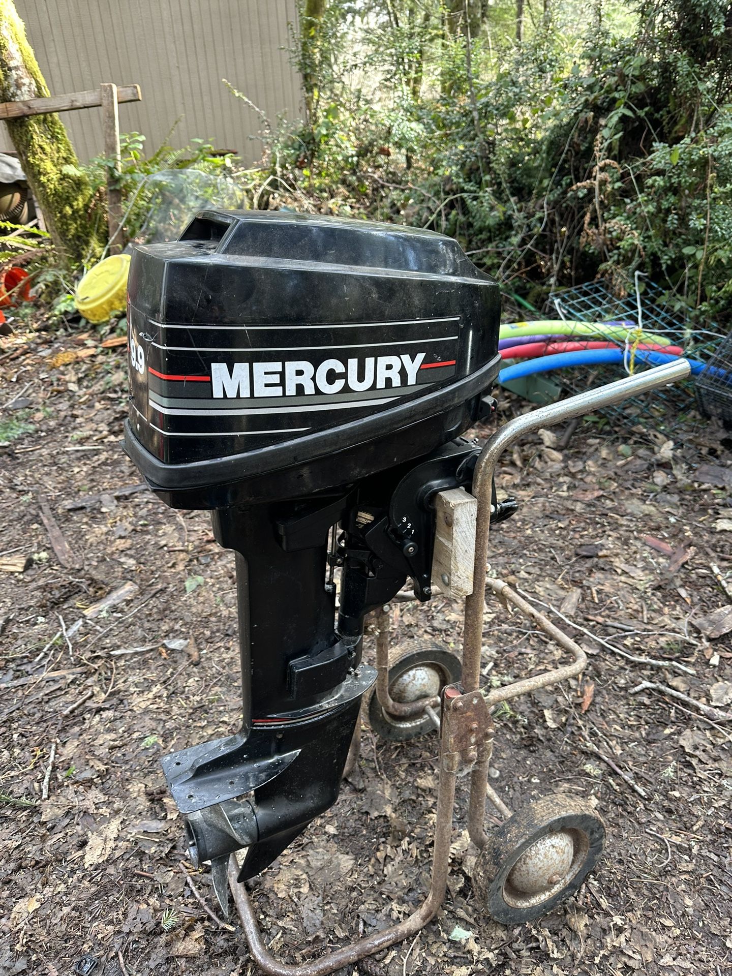 Mercury 9.9 for Sale in Longbranch, WA OfferUp