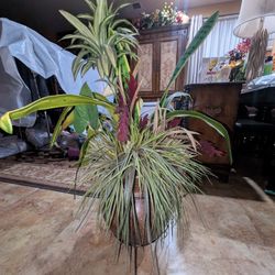 Beautiful Faux Plant Arrangement 