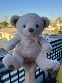 Teddy Bear Plush Pink