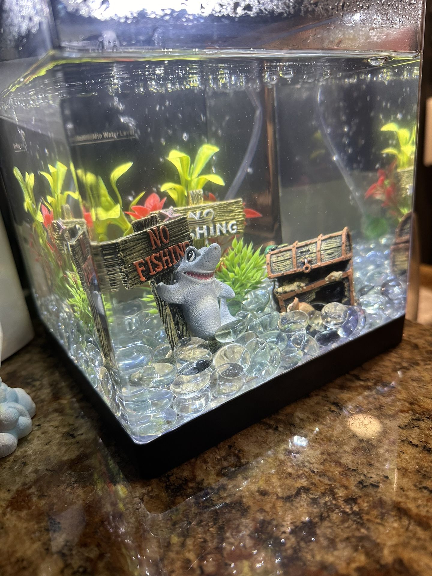 1.5 Gallon Fish Tank 