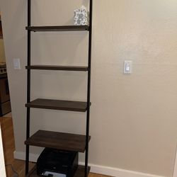 Target Ladder Bookshelf
