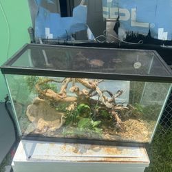 Reptile Terrarium Tank