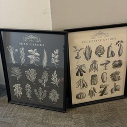 Herb Garden Framed Art