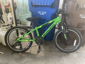 Schwinn Thrasher 20" Mountain Bike