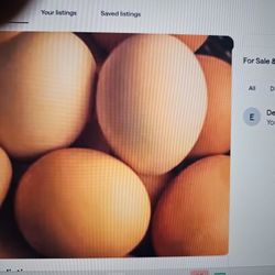 Backyard Chicken Eggs
