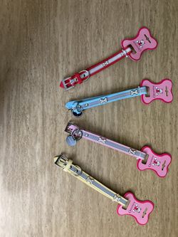 Adjustable Dog Collar