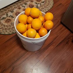 Sweet Orange 5 Gallon For 10