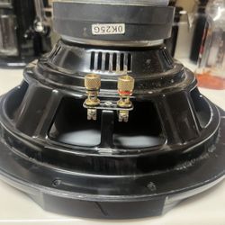 12” Inch Subwoofer