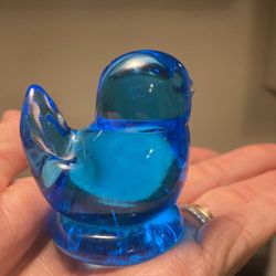 Adorable Turquoise Tiny Bird