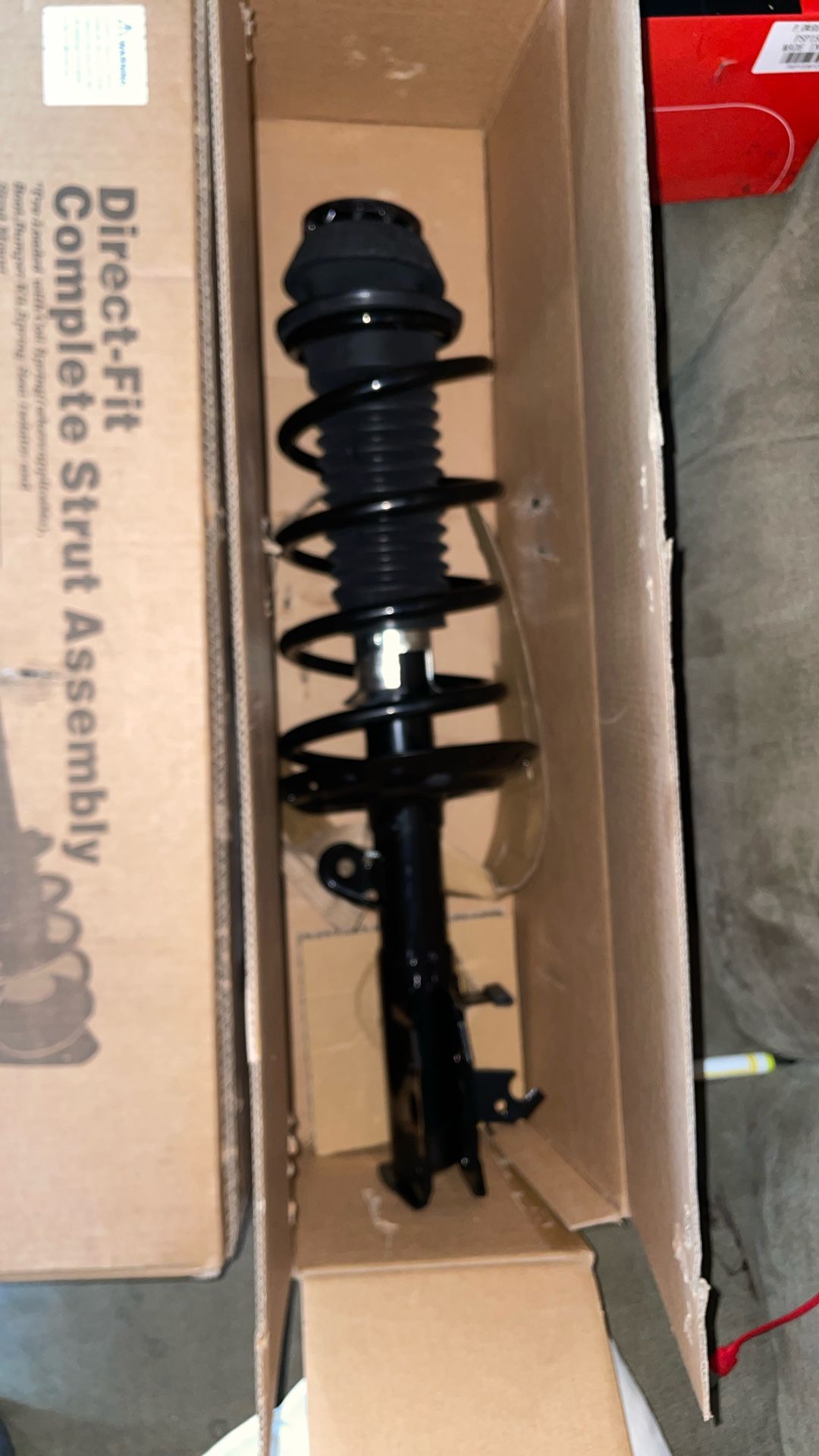 Strut Assembly