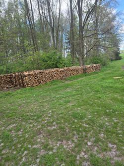 Firewood