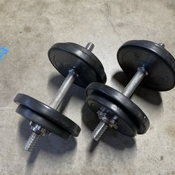 Pair of Adjustable Dumbbells