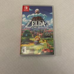 The Legend of Zelda Link’s Awakening Nintendo Switch 