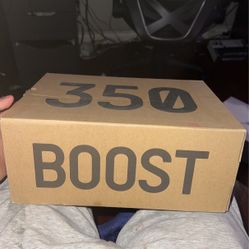 Yeezy Zebra 350 
