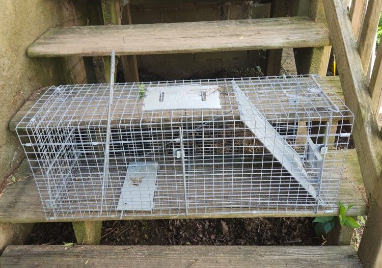 Animal Trap