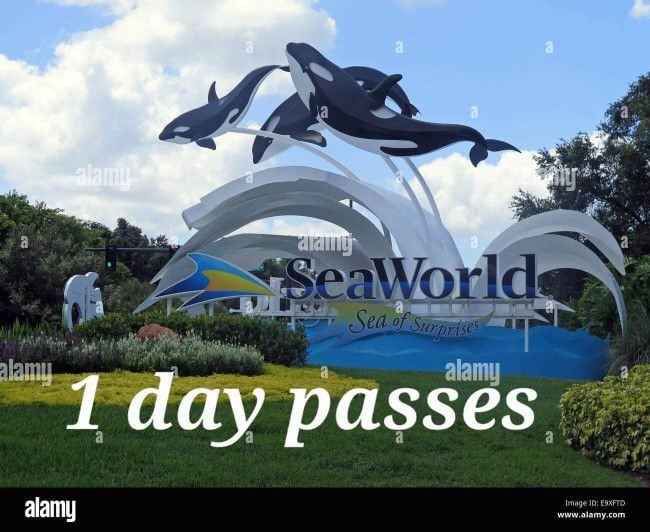 Seaworld, Busch Gardens Day Passes 