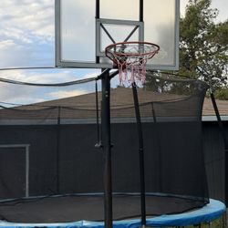 Lifetime Height Adjustable Portable Basketball Hoop 