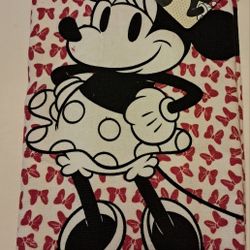 NEW Minnie Mouse 2 Pack Dish Towels