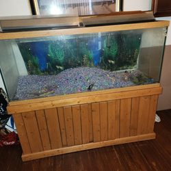 Fish Tank For Sale ($1,000 or Best Officer)