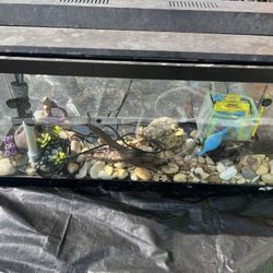 Fish Tank 40 Gallon 