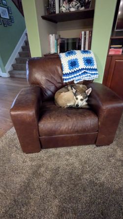 Wide Brown Leather Chair, Recliner