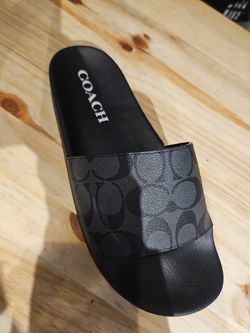 Coach slides