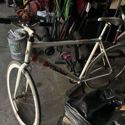 SOLE Bike SINGLE SPEED / FIXED GEAR