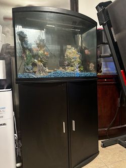 Bow Front Fish Tank Aquarium with Cabinet Stand