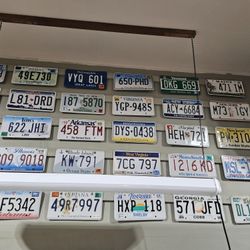 License Plates 