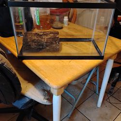 10 Gallon Tank For Fish Or Lizards