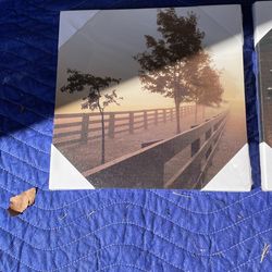 3 Pictures 10x10