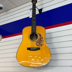 Acoustic Guitar 