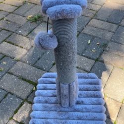 Cat Toy 
