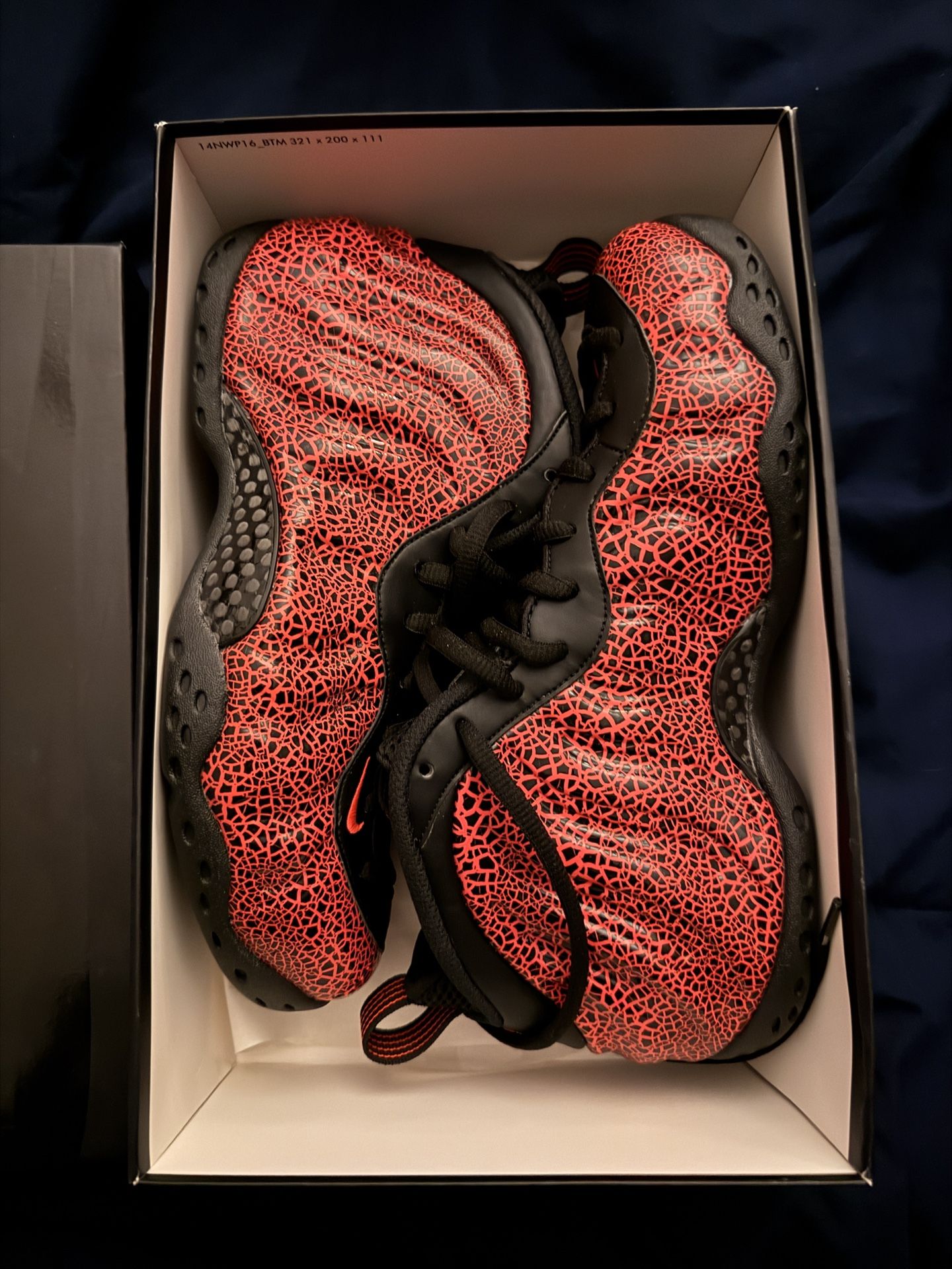 Men’s 8.5 Foamposite