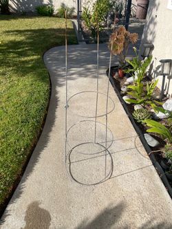 Metal Tall tomato plant cage
