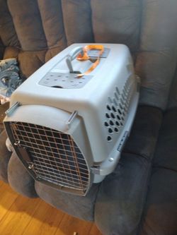 Great for dog or cat