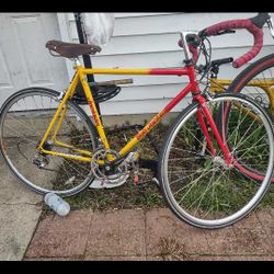 Bob Jackson 54 Cm Reynolds Steel Bike, Campagnolo Carbon Chorus Gruppo 