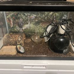Glass Tank 