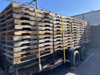 Pallets 48x40 Great Conditions 