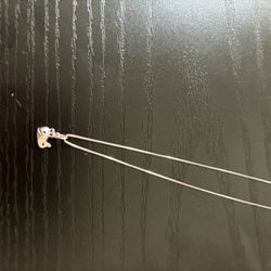 14k White Gold Whale Pendant And Chain