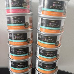 Purina Kitten Wet Food Set Of 12 Exp 09/2027