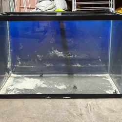 Fish Tank